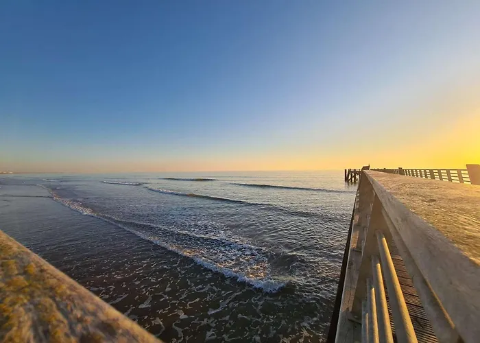 Maison Avec Veranda, Jardin Clos, 2 - Proche Centre Et Ocean - Fr-1-224c-338 *